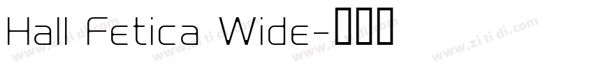 Hall Fetica Wide字体转换
